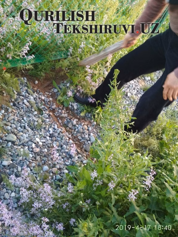 256 smety proshedshie ekspertizu tashkent po viloyatam 256 smety proshedshie ekspertizu tashkent po viloyatam xizmat дв qurilish tekshiruvi курилиш текшируви