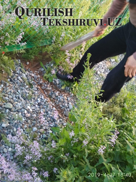 256 smety proshedshie ekspertizu tashkent po viloyatam xizmat дв qurilish tekshiruvi курилиш текшируви 