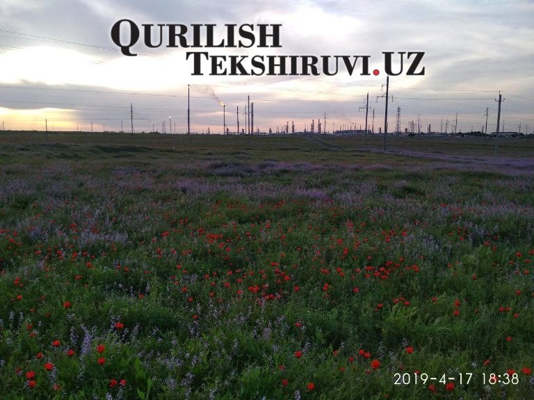 317 strojekspertiza viloyaty tashkent po viloyatam компанией qurilish tekshiruvi курилиш текшируви 